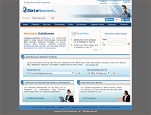 Tablet Screenshot of datanumen.com